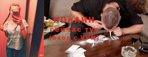 ешки Вязьма