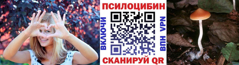 Галлюциногенные грибы мицелий  кракен ONION  Железногорск 