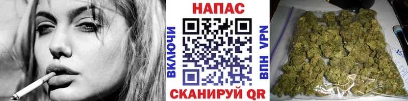 дарнет шоп Железногорск kraken сайт Бошки Шишки сатива